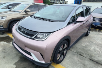 比亚迪 海豚 2021款 401km 骑士版