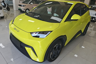 比亚迪 海鸥 2024款 荣耀版 305km 自由版