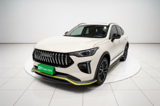 哈弗赤兔 2021款 激擎版 1.5T 白银兔
