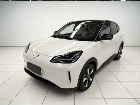 五菱汽车 五菱缤果PLUS 2024款 510km 五座版