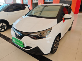 江铃集团新能源 易至EV2 2024款 201km 舒适型