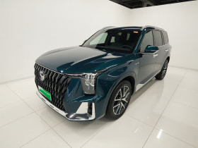 广汽传祺 传祺ES9 2024款 PHEV 143km Max