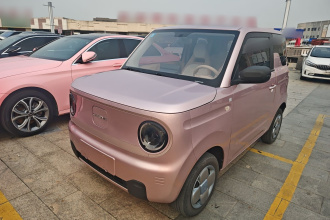 吉利银河 2023款 熊猫mini 200km 耐力熊