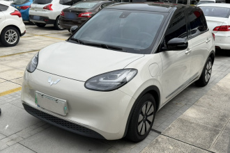 五菱汽车 五菱缤果 2023款 333km 灵犀互联+款