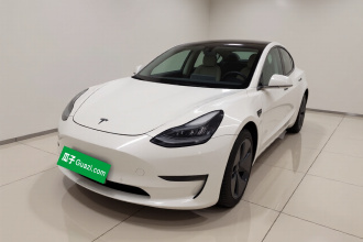 特斯拉 Model 3(进口) 2019款 长续航全轮驱动版