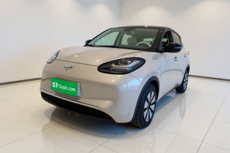 五菱汽车 五菱缤果 2024款 333km 悦享款