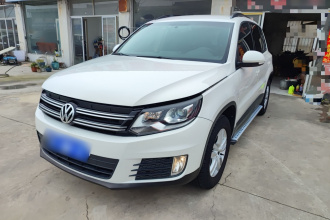 大众 途观 2016款 300TSI 自动两驱风尚版