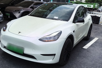 特斯拉 Model Y 2021款 长续航全轮驱动版 3D7