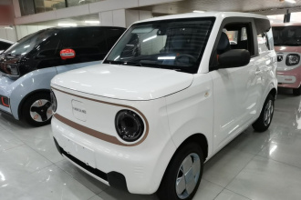 吉利银河 2024款 熊猫mini 200km 耐力熊