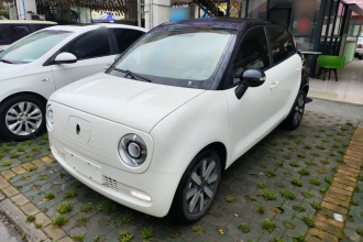 欧拉黑猫 2021款 351km 标准型