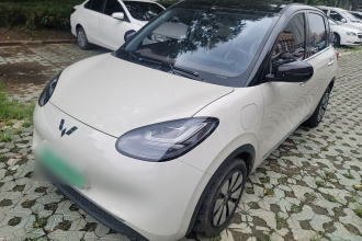 五菱汽车 五菱缤果 2024款 333km 悦享款