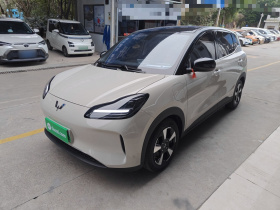 五菱汽车 五菱缤果PLUS 2024款 510km 五座版