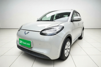 五菱汽车 五菱缤果 2023款 203km 轻享款