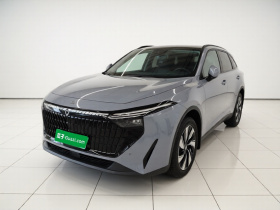 启辰大V DD-i 2023款 110km iT版