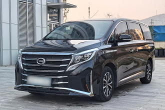 广汽传祺 传祺M8 2023款 领秀系列 390T 豪华版