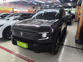 深蓝汽车 深蓝G318 2024款 四驱空悬版