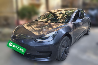 特斯拉 Model 3 2019款 标准续航后驱升级版