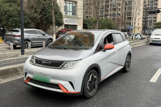 比亚迪 海豚 2021款 405km 自由版