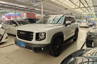 哈弗大狗 2022款 1.5T DCT两驱边牧版