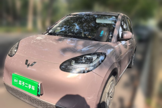 五菱汽车 五菱缤果 2023款 203km 轻享款