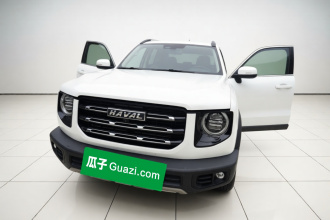 哈弗大狗 2021款 1.5T DCT两驱边牧-旺财版