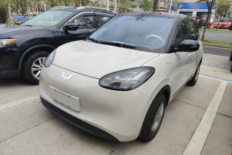 五菱汽车 五菱缤果 2024款 333km 灵犀互联款