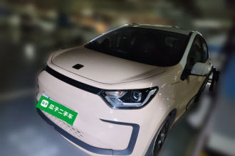 思皓 2022款 花仙子款 四叶草