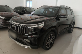 起亚 智跑 2021款 Ace 2.0L 精彩版