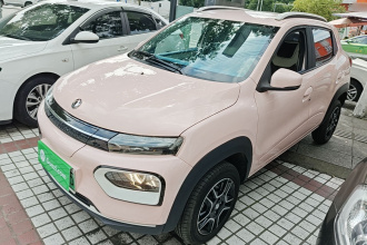 东风纳米 纳米BOX 2022款 追风版 331KM 标准型