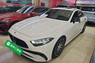 奔驰CLS 2022款 CLS 300 动感型