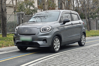 零跑汽车 零跑T03 2022款 皓玉版