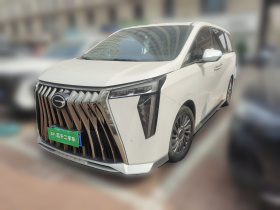 广汽传祺 传祺M8 2023款 宗师系列 400T 至尊版