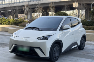 比亚迪 海鸥 2023款 活力版