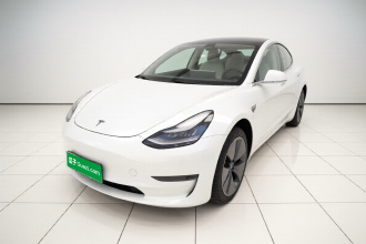 特斯拉 Model 3(进口) 2019款 长续航后驱版