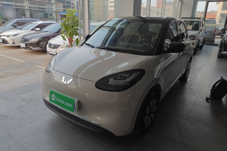 五菱汽车 五菱缤果 2024款 333km 悦享款