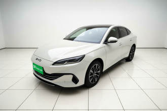 比亚迪 海豹06新能源 2024款 DM-i 80KM尊贵型