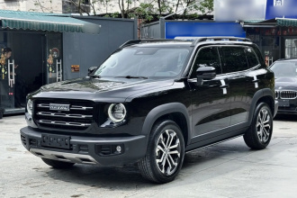 哈弗大狗 2022款 1.5T DCT两驱边牧版