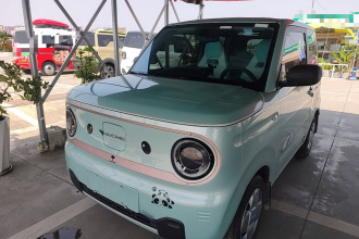吉利银河 2023款 熊猫mini 200km 耐力熊