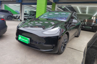 特斯拉 Model Y 2021款 标准续航后驱版