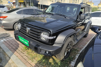 坦克300 2024款 2.0T 挑战者