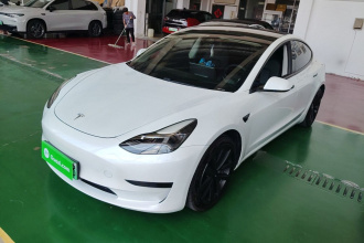 特斯拉 Model 3 2021款 标准续航后驱升级版