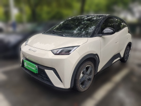 比亚迪 海鸥 2023款 自由版