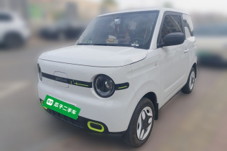 吉利银河 2025款 熊猫mini 210km 元气熊