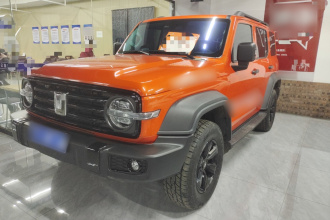 坦克300 2021款 越野版 2.0T 征服者