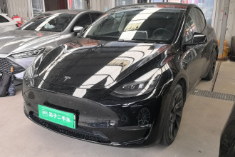 特斯拉 Model Y 2021款 标准续航后驱版