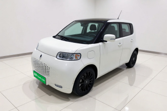 欧拉白猫 2020款 360km 豪华型