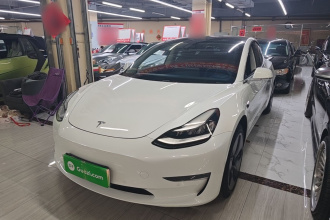 特斯拉 Model 3(进口) 2019款 长续航全轮驱动版