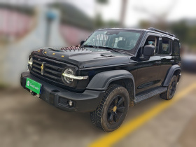 坦克300 2021款 越野版 2.0T 征服者