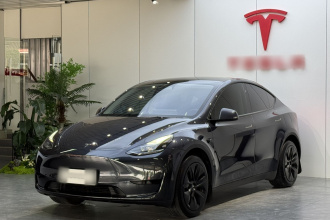 特斯拉 Model Y 2024款 后轮驱动版