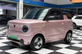 吉利银河 2023款 熊猫mini 200km 灵动熊
